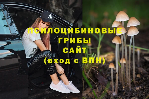 дмт Липки