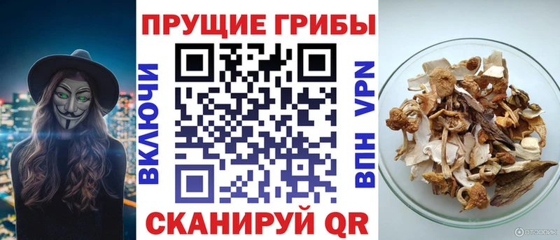 ссылка на мегу онион  Таганрог  Галлюциногенные грибы мухоморы 